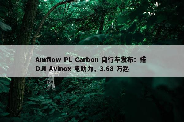 Amflow PL Carbon 自行车发布：搭 DJI Avinox 电助力，3.68 万起