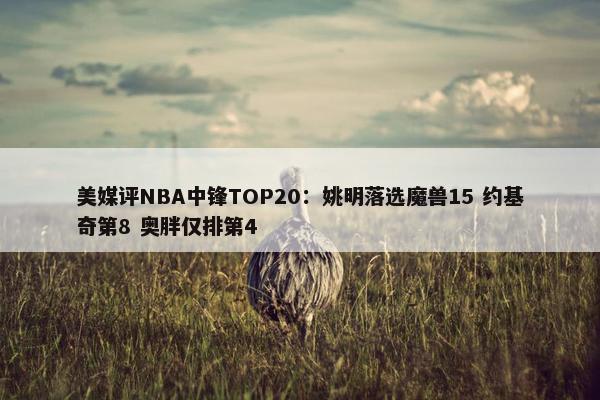 美媒评NBA中锋TOP20：姚明落选魔兽15 约基奇第8 奥胖仅排第4