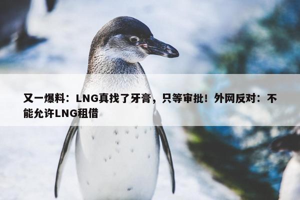 又一爆料：LNG真找了牙膏，只等审批！外网反对：不能允许LNG租借