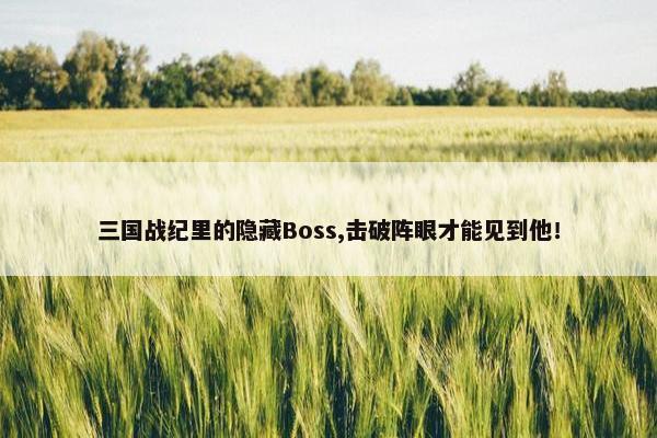 三国战纪里的隐藏Boss,击破阵眼才能见到他！