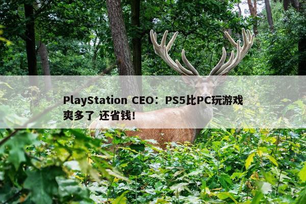 PlayStation CEO：PS5比PC玩游戏爽多了 还省钱！