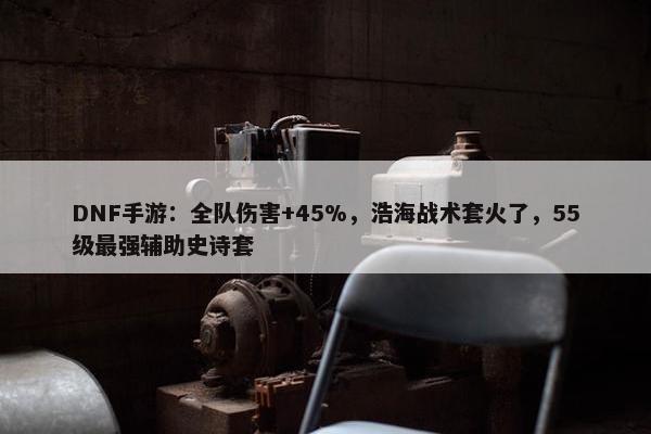 DNF手游：全队伤害+45%，浩海战术套火了，55级最强辅助史诗套