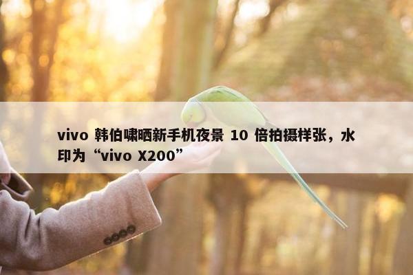 vivo 韩伯啸晒新手机夜景 10 倍拍摄样张，水印为“vivo X200”