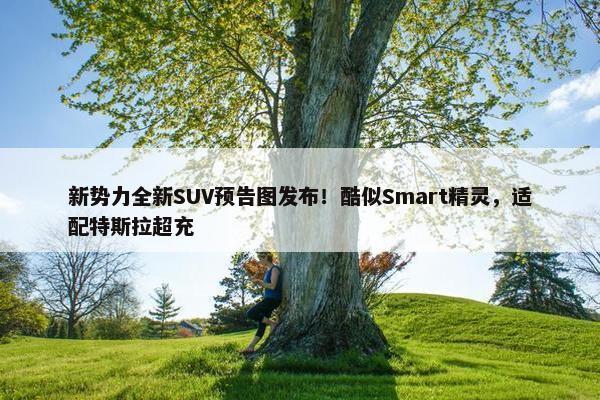 新势力全新SUV预告图发布！酷似Smart精灵，适配特斯拉超充