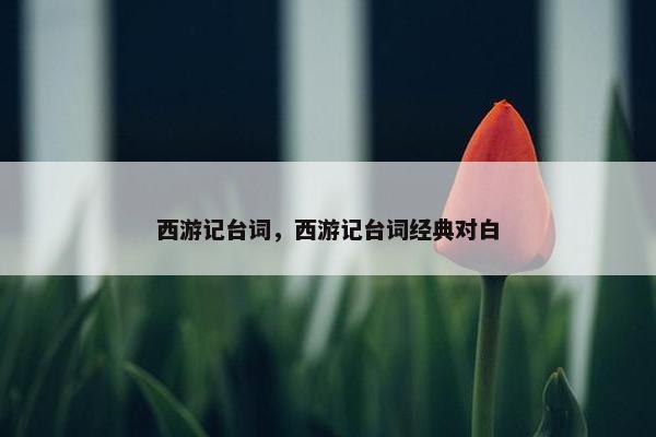 西游记台词，西游记台词经典对白