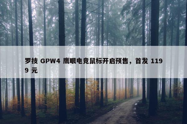 罗技 GPW4 鹰眼电竞鼠标开启预售，首发 1199 元