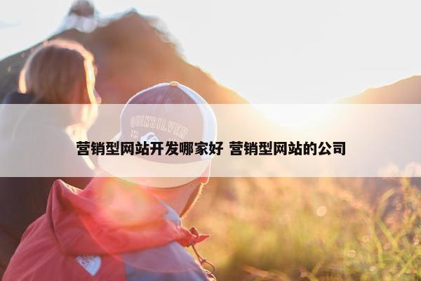 营销型网站开发哪家好 营销型网站的公司