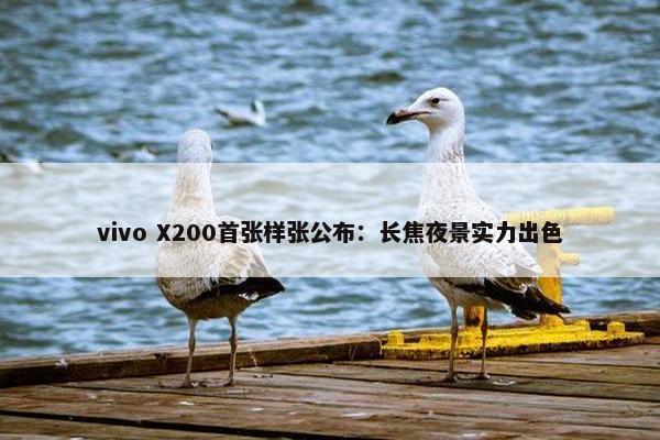 vivo X200首张样张公布：长焦夜景实力出色