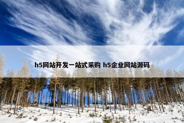 h5网站开发一站式采购 h5企业网站源码