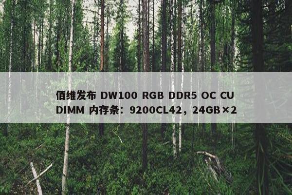 佰维发布 DW100 RGB DDR5 OC CUDIMM 内存条：9200CL42，24GB×2