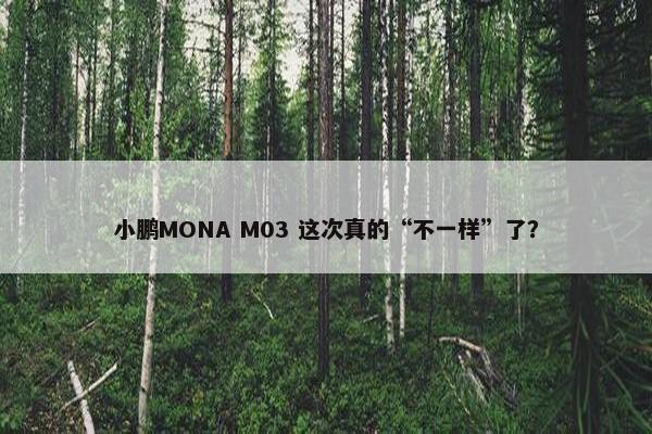 小鹏MONA M03 这次真的“不一样”了？