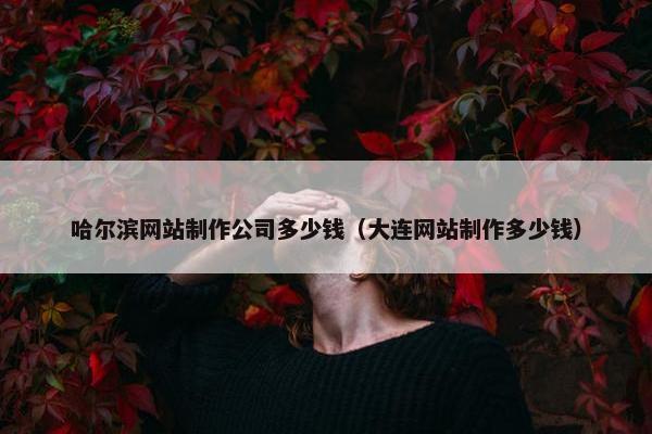 哈尔滨网站制作公司多少钱（大连网站制作多少钱）