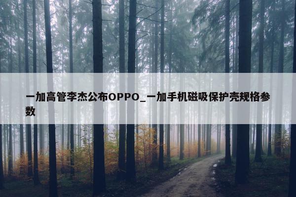 一加高管李杰公布OPPO_一加手机磁吸保护壳规格参数