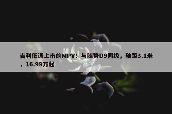 吉利低调上市的MPV！与腾势D9同级，轴距3.1米，16.99万起