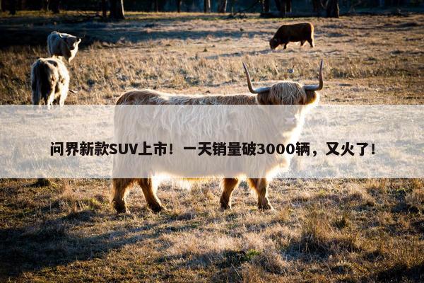 问界新款SUV上市！一天销量破3000辆，又火了！