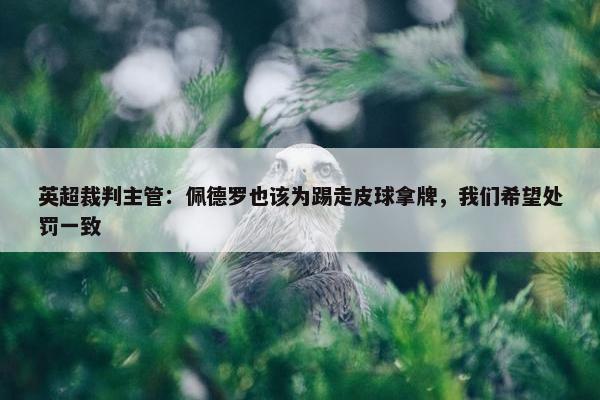 英超裁判主管：佩德罗也该为踢走皮球拿牌，我们希望处罚一致