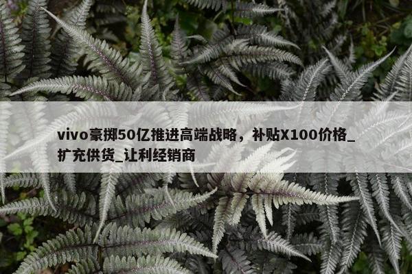 vivo豪掷50亿推进高端战略，补贴X100价格_扩充供货_让利经销商