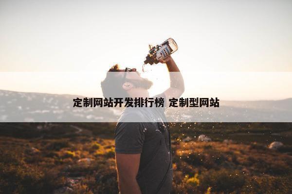 定制网站开发排行榜 定制型网站