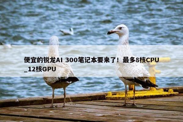 便宜的锐龙AI 300笔记本要来了！最多8核CPU_12核GPU