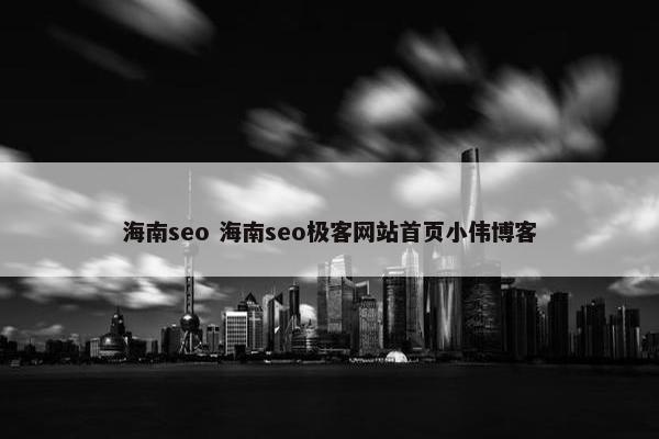 海南seo 海南seo极客网站首页小伟博客