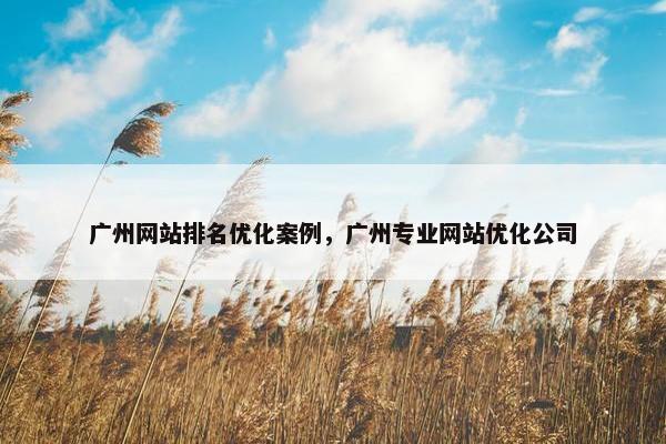 广州网站排名优化案例，广州专业网站优化公司