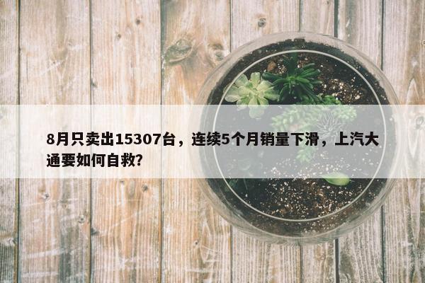 8月只卖出15307台，连续5个月销量下滑，上汽大通要如何自救？