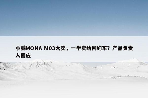 小鹏MONA M03大卖，一半卖给网约车？产品负责人回应