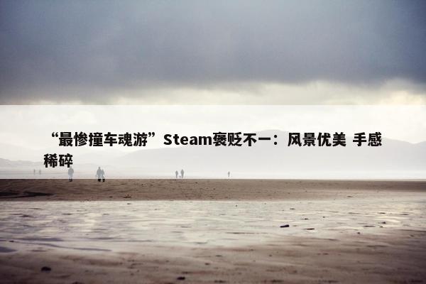 “最惨撞车魂游”Steam褒贬不一：风景优美 手感稀碎