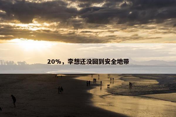 20%，李想还没回到安全地带