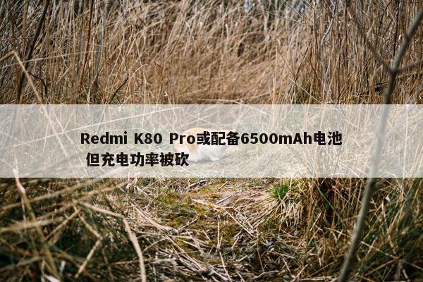 Redmi K80 Pro或配备6500mAh电池 但充电功率被砍