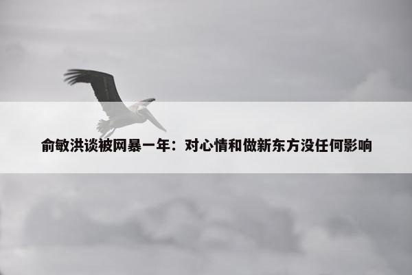 俞敏洪谈被网暴一年：对心情和做新东方没任何影响