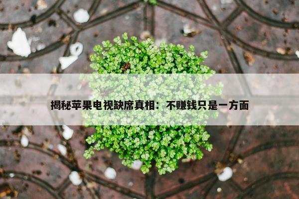 揭秘苹果电视缺席真相：不赚钱只是一方面