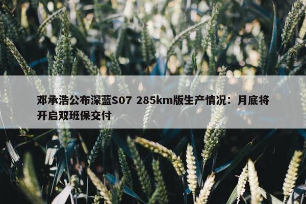 邓承浩公布深蓝S07 285km版生产情况：月底将开启双班保交付