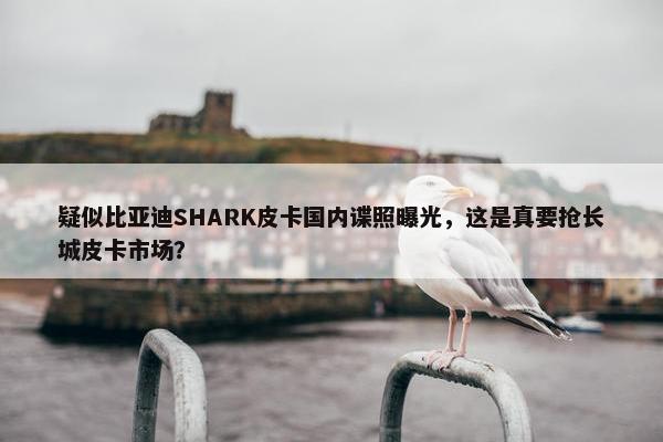 疑似比亚迪SHARK皮卡国内谍照曝光，这是真要抢长城皮卡市场？