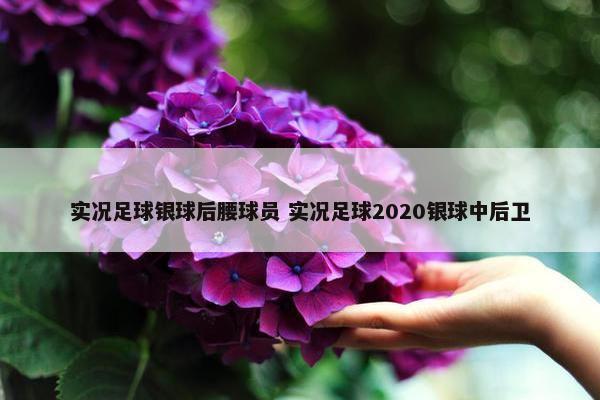 实况足球银球后腰球员 实况足球2020银球中后卫