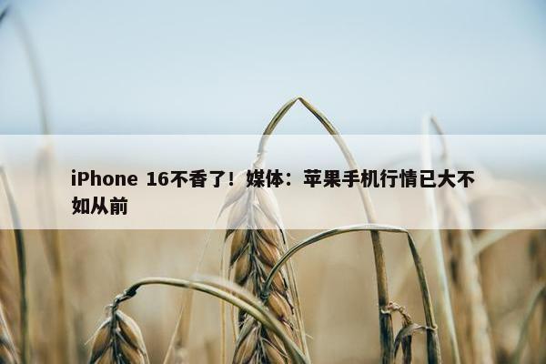 iPhone 16不香了！媒体：苹果手机行情已大不如从前