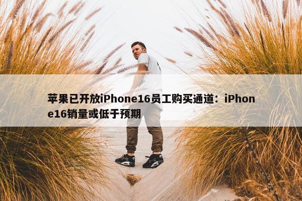 苹果已开放iPhone16员工购买通道：iPhone16销量或低于预期