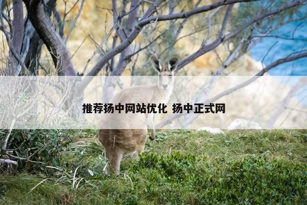 推荐扬中网站优化 扬中正式网