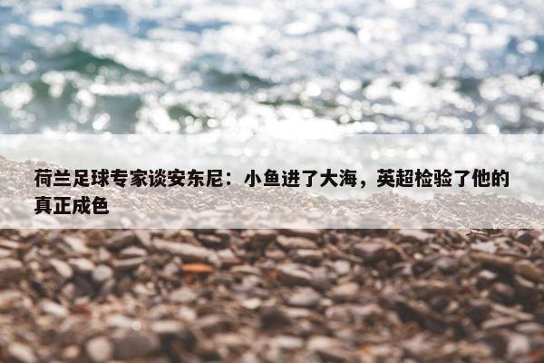 荷兰足球专家谈安东尼：小鱼进了大海，英超检验了他的真正成色