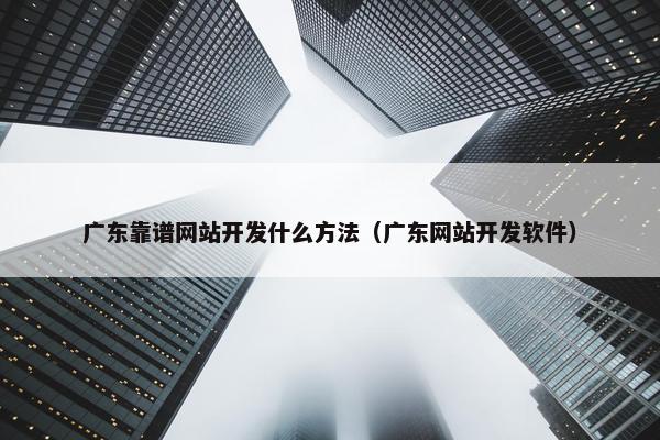 广东靠谱网站开发什么方法（广东网站开发软件）