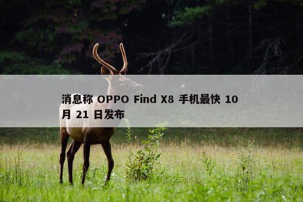 消息称 OPPO Find X8 手机最快 10 月 21 日发布