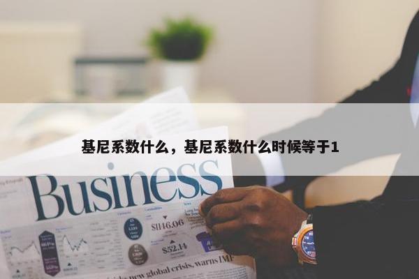 基尼系数什么，基尼系数什么时候等于1