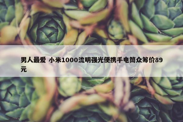 男人最爱 小米1000流明强光便携手电筒众筹价89元