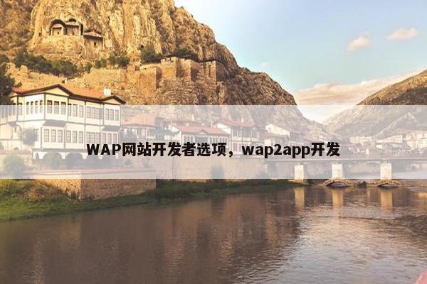 WAP网站开发者选项，wap2app开发