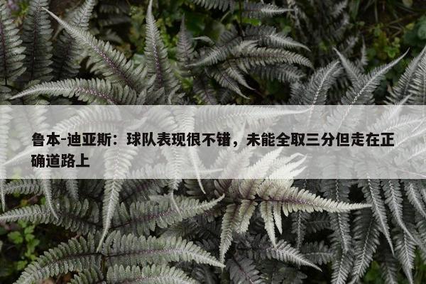 鲁本-迪亚斯：球队表现很不错，未能全取三分但走在正确道路上