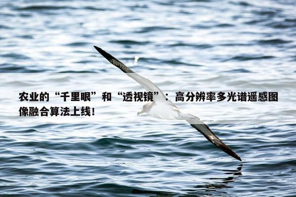 农业的“千里眼”和“透视镜”：高分辨率多光谱遥感图像融合算法上线！