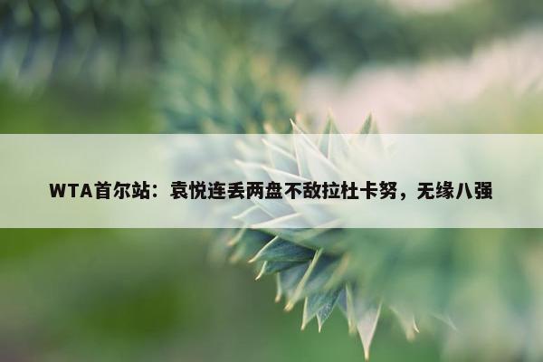 WTA首尔站：袁悦连丢两盘不敌拉杜卡努，无缘八强