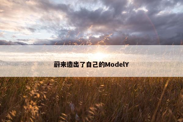 蔚来造出了自己的ModelY