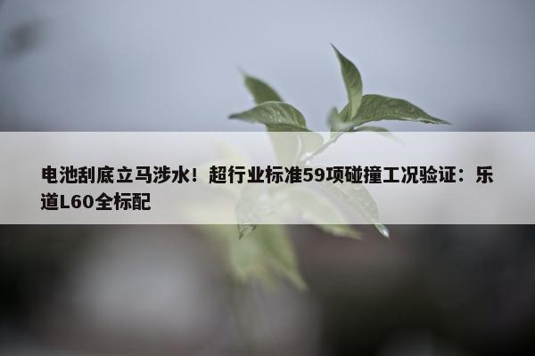 电池刮底立马涉水！超行业标准59项碰撞工况验证：乐道L60全标配