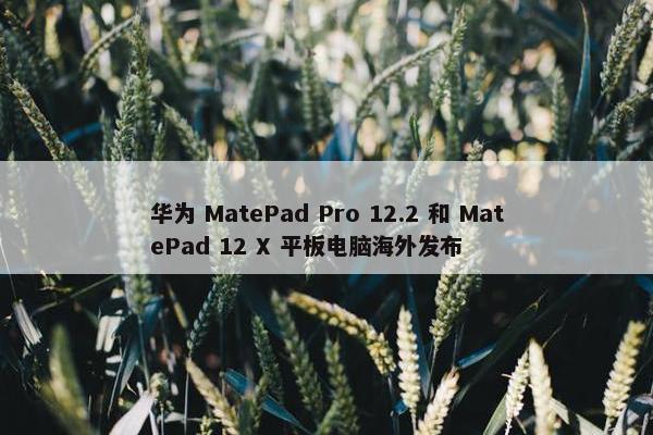 华为 MatePad Pro 12.2 和 MatePad 12 X 平板电脑海外发布